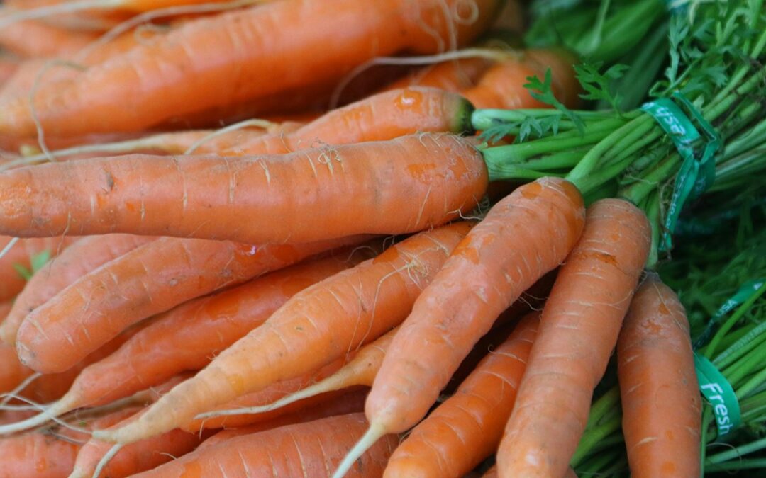 Varias personas hospitalizadas tras brote de E. Coli vinculado a zanahorias