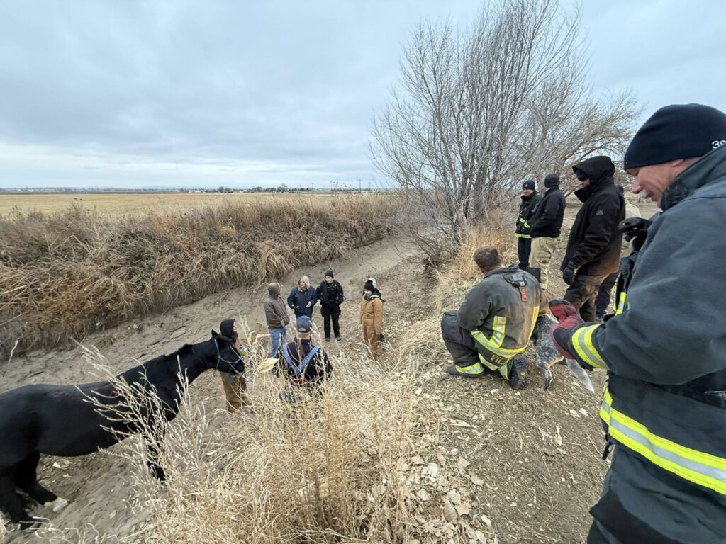 Rescate De Caballo En Condiciones Críticas De Frío Extremo - Noticias Notivalle Rescate De Caballo En Condiciones Críticas De Frío Extremo - Noticias Notivalle